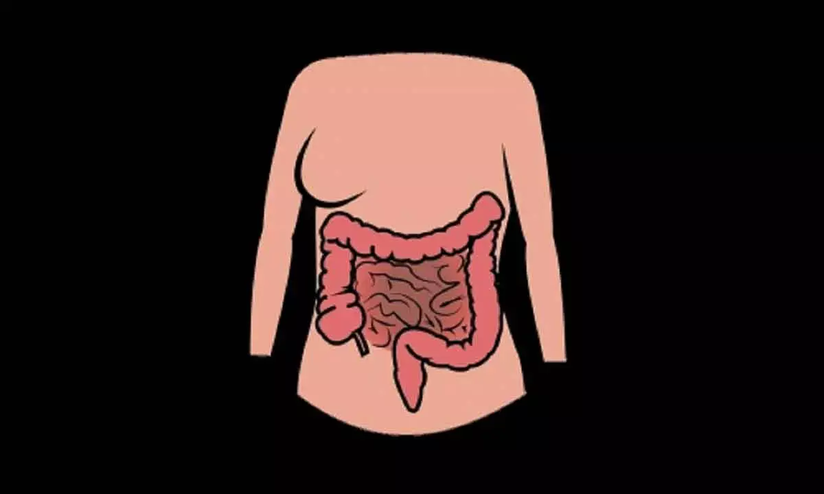 New Combination Drug Treatment Against Intestinal Worms: Lancet