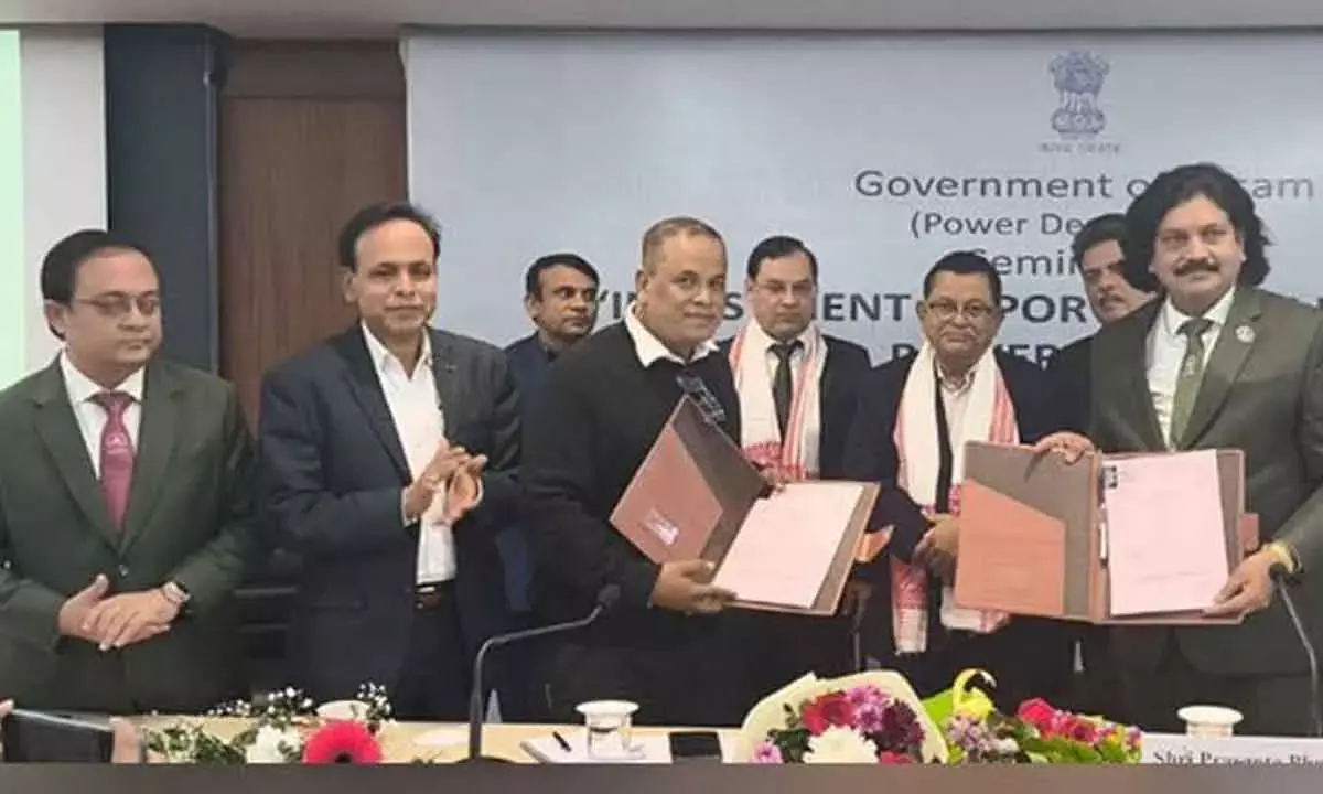 NLC India-APDCL To Develop 1000 MW Solar Power Projects In Assam