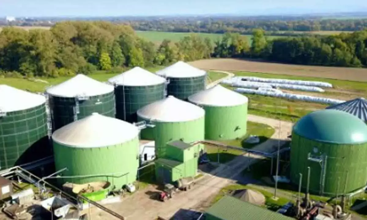 IBA For Blanket Corp Tax Holidays For Compressed Biogas Production