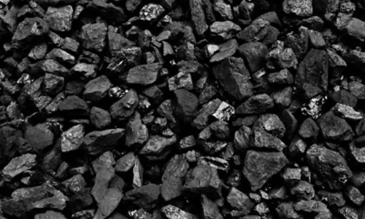 CIL Eyes Argentina For Lithium Brine Assets