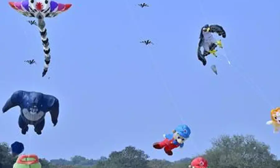 Three-day International Kite and Sweets Festival begins at Parade Grounds