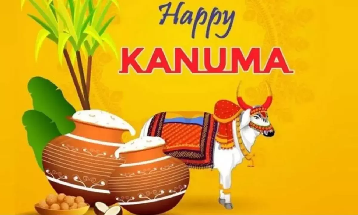 Kanuma Festival Wishes: Heartfelt Messages in Telugu