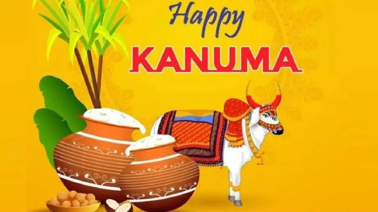 Kanuma Festival Wishes: Heartfelt Messages in Telugu Kanuma Festival Wishes: Heartfelt Messages in Telugu
