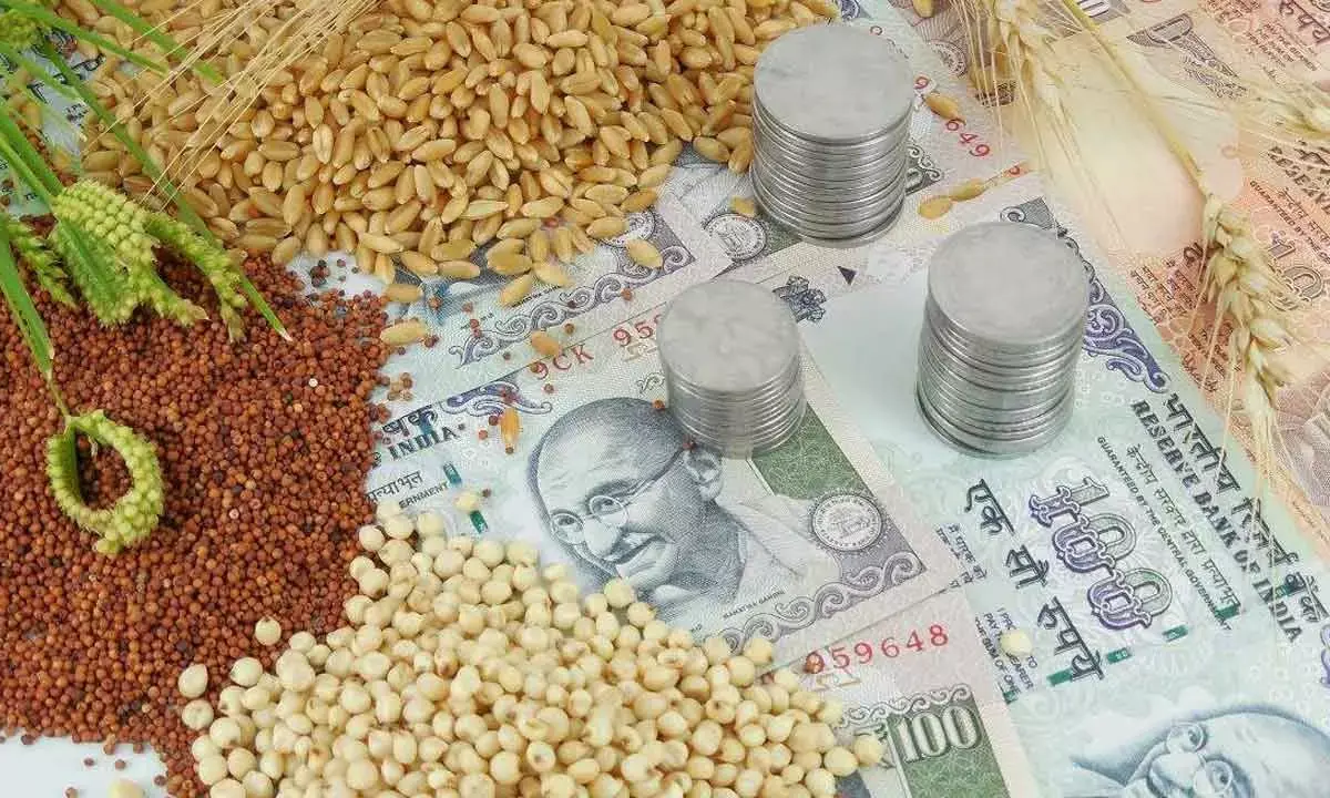 Lentils, Oilseeds Data On Govt Radar Now