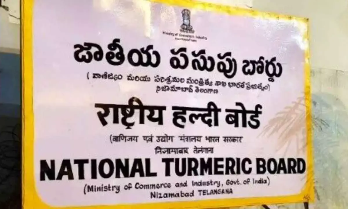 National Turmeric Board Will Boost Innovation And Global Promotion: Modi
