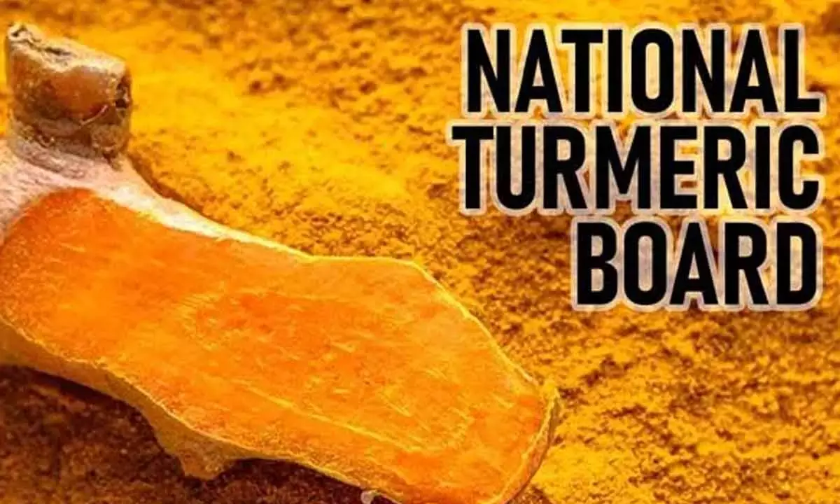 National Turmeric Board Opened