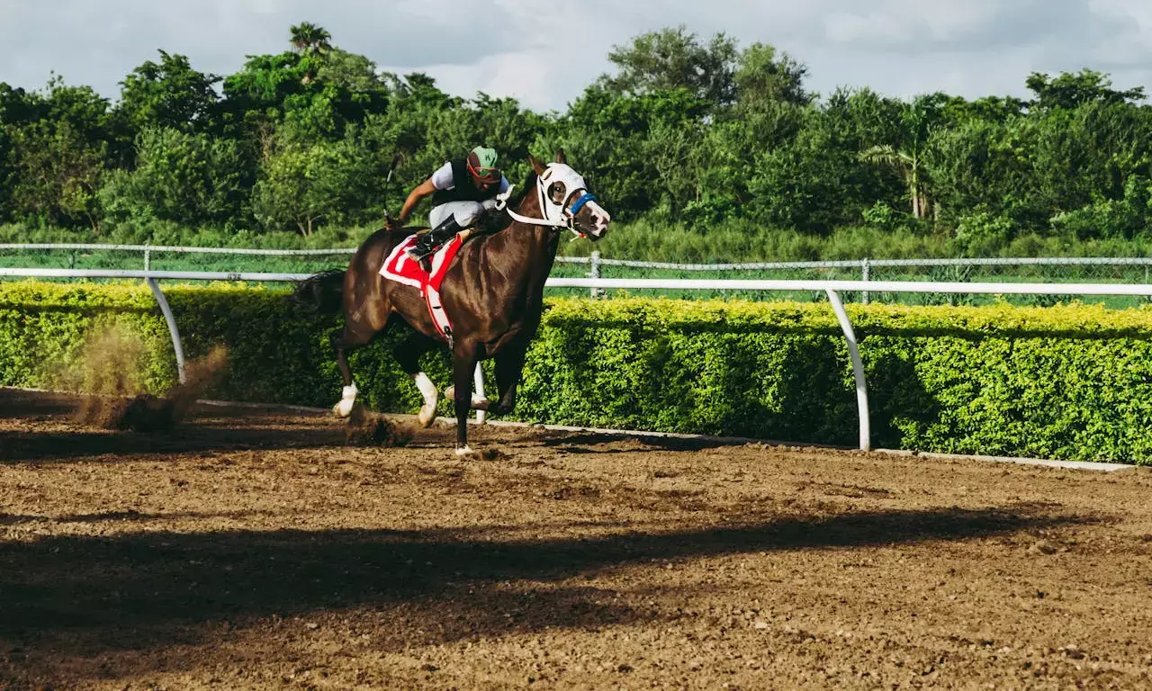 Horse Race Betting 101: Everything You Need to Know