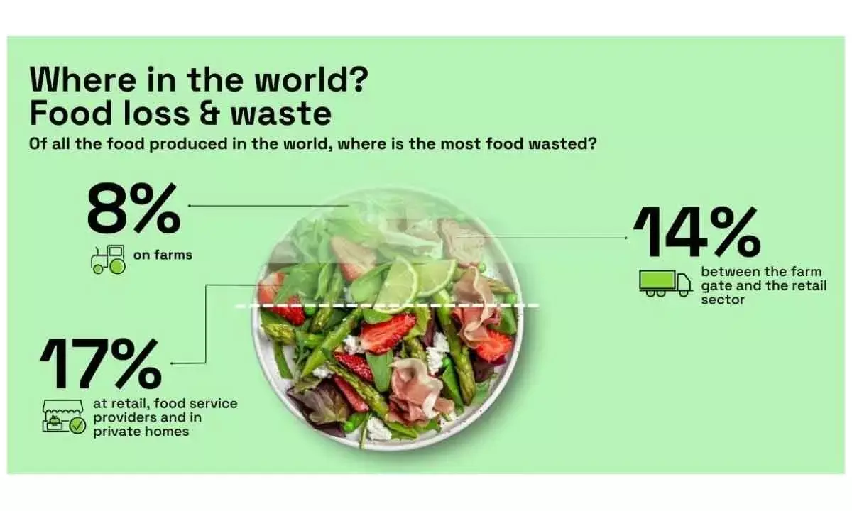 Lead By Example: Save Environmental Costs By Cutting Down Household Food Waste
