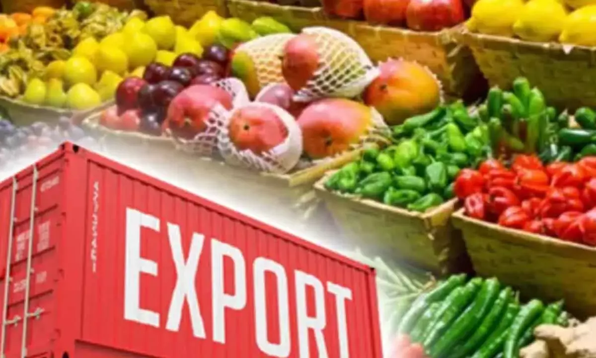 India’s Exports Of Food Jump 11% To $17.8 Bn
