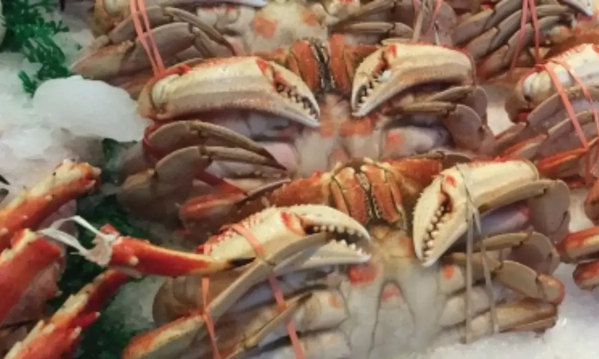 Indias seafood exports cross Rs 60,000 crore in FY25 to date, set for new record