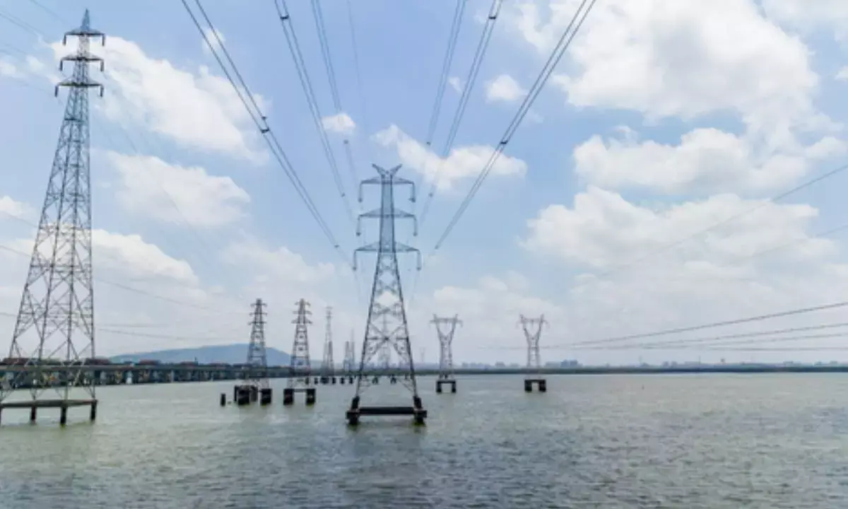 Investment in extensive grid infra key to achieve net zero emissions by 2070: Eco Survey