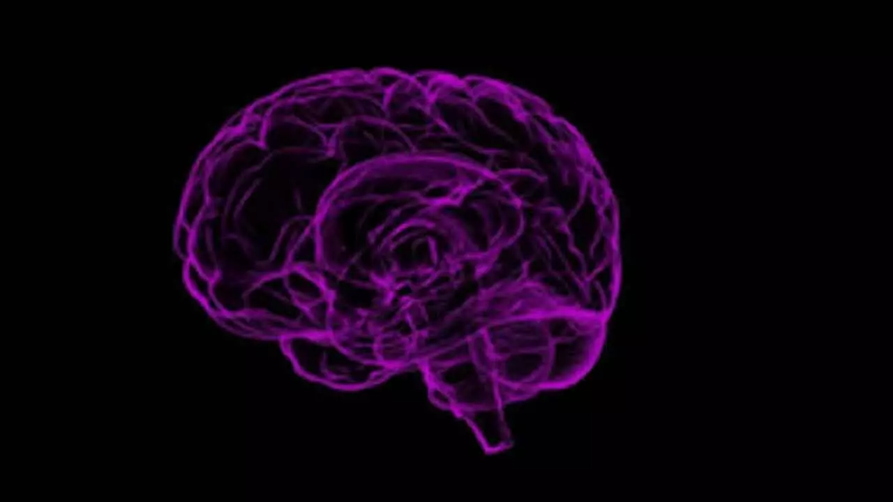 Immune System Changes Linked To Schizophrenia, Says Study