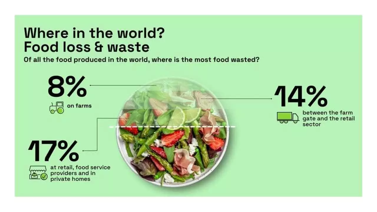 Lead By Example: Save Environmental Costs By Cutting Down Household Food Waste Lead By Example: Save Environmental Costs By Cutting Down Household Food Waste