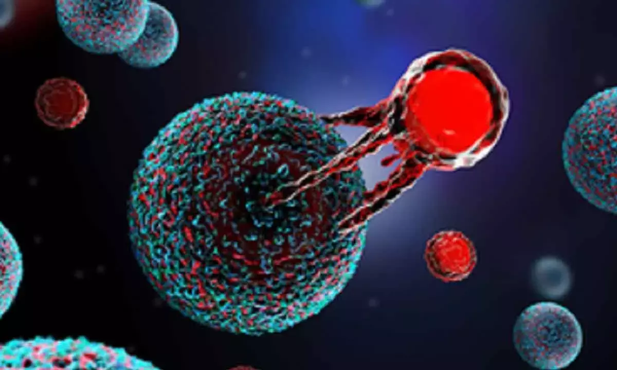 Immuneel Launches Affordable CAR T-cell Therapy For Non-Hodgkin’S Lymphoma