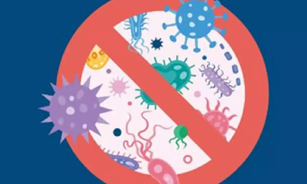 Oyster Blood Protein Helps Fight Against Superbugs: Study