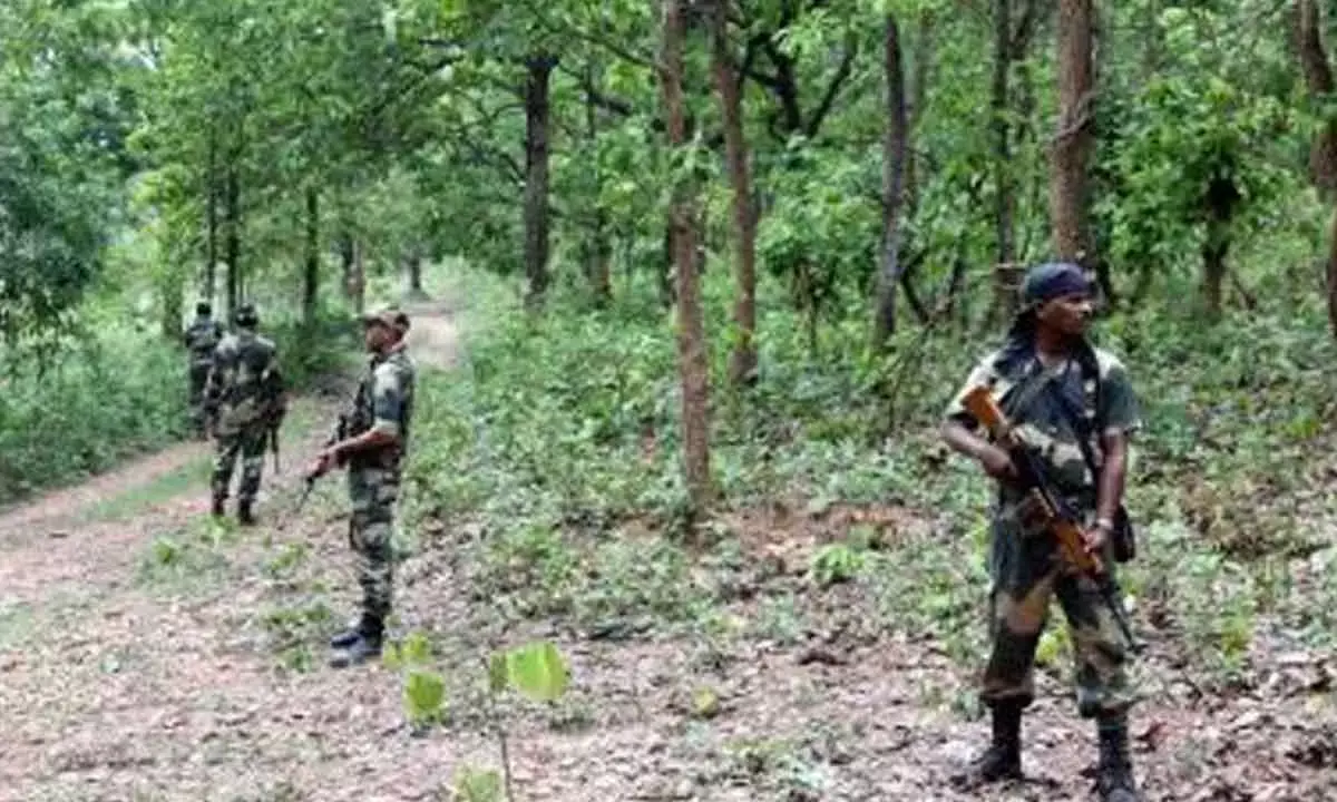 14 Maoists Killed Along Odisha, Chhattisgarh Border