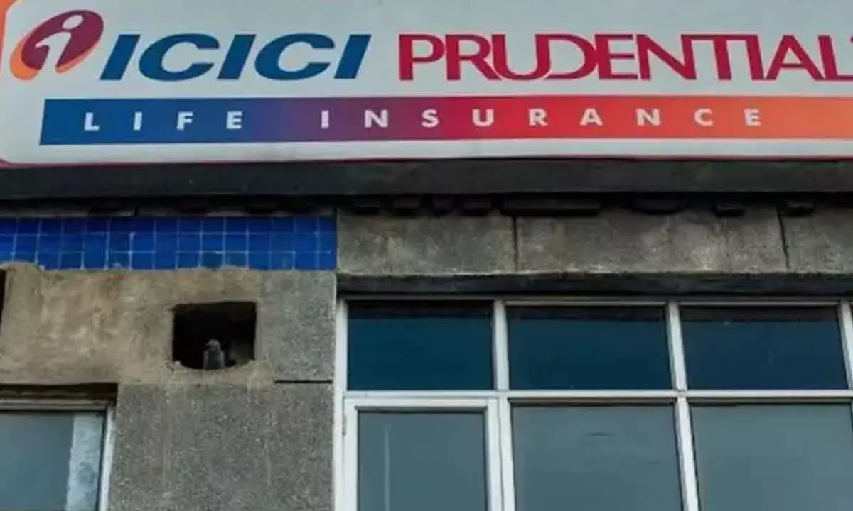 ICICI Pru Life Stock Plunges 9%