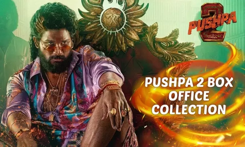 Pushpa 2 Collections: IT Raids Uncover Financial Discrepancies in Record-Breaking Movie