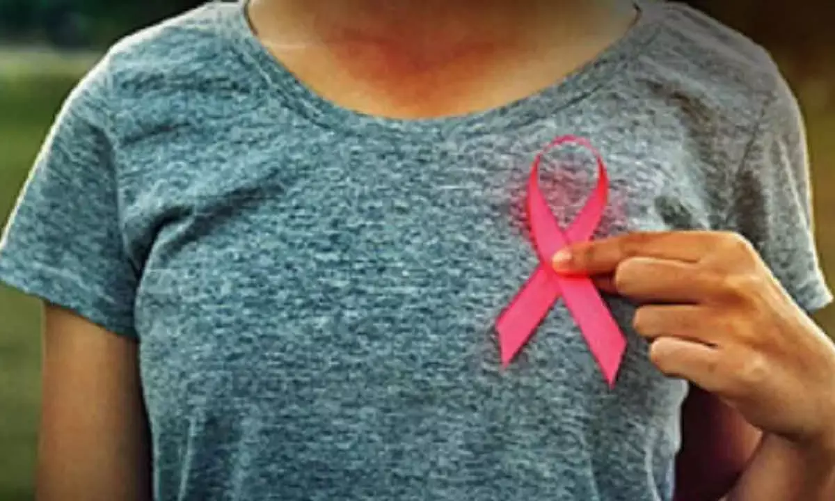 Australian Research Makes Breakthrough In Boosting Breast Cancer Cure Rate