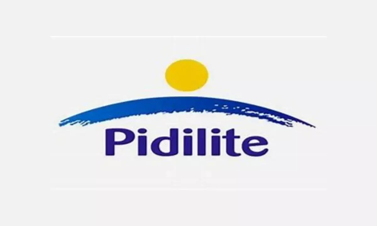 Standalone Q3 Ebitda margins of Pidlite Industries at 24.3%