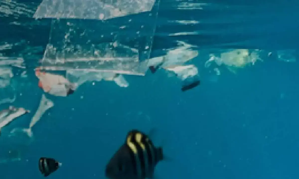 WEF 2025: 25 countries unite to fight against global plastic pollution, climate change
