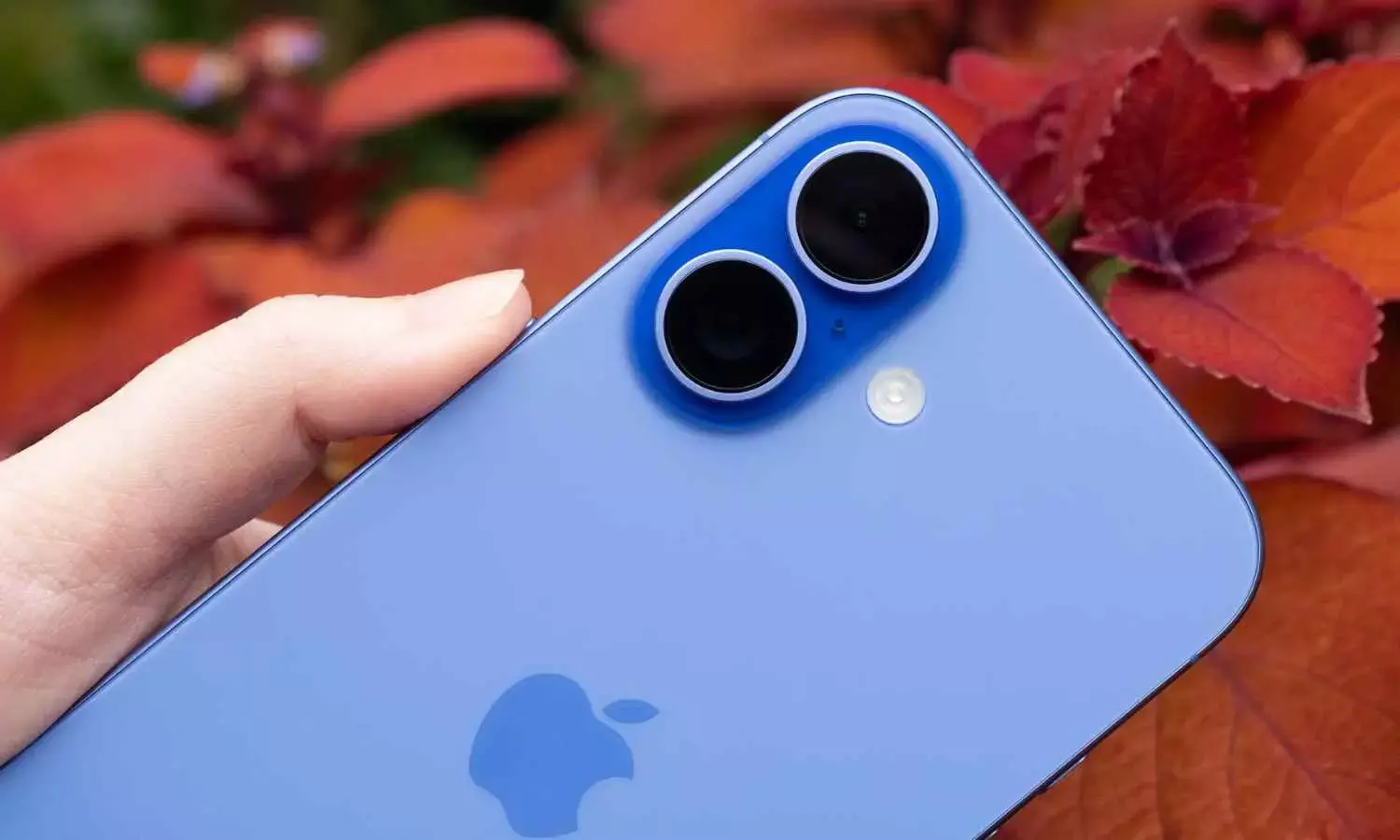 iPhone 17 Series Leaks: Ming-Chi Kuo Reveals unchanged Dynamic Island Design