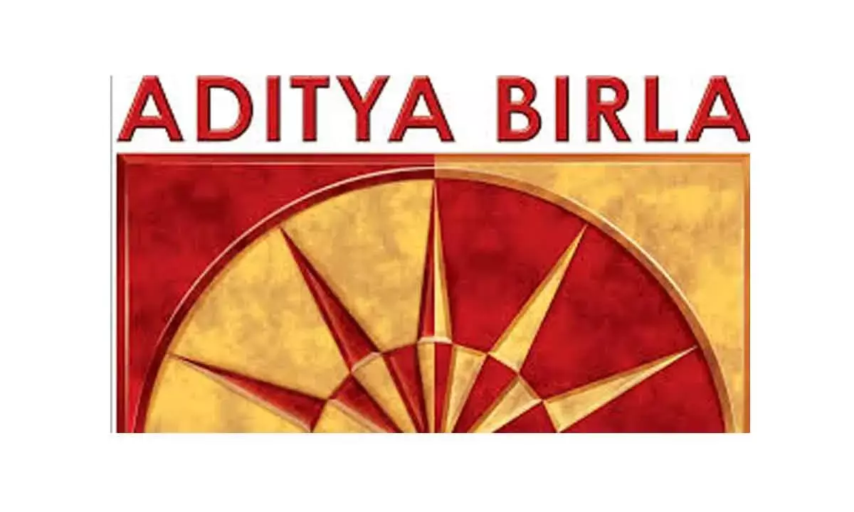 Aditya Birla Sun Life AMC Plunges Nearly 9%