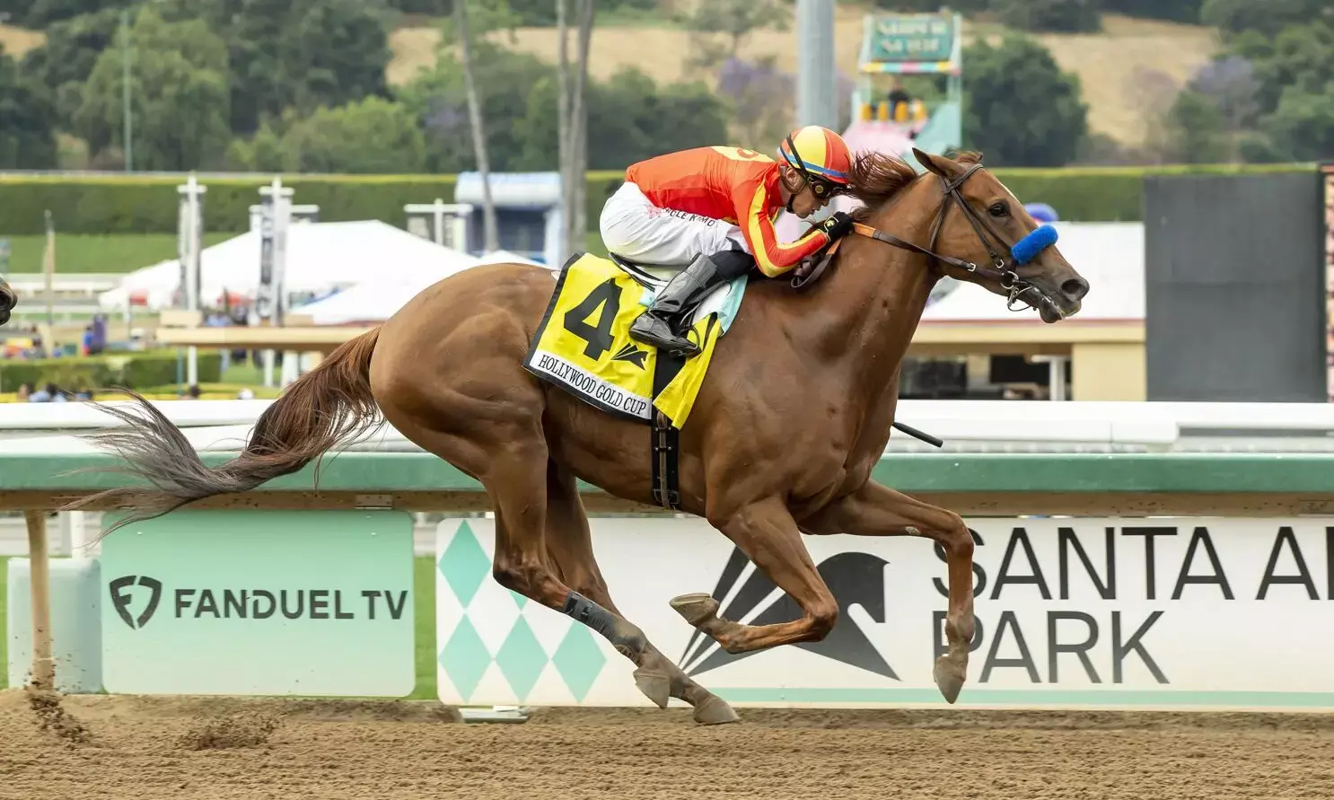 What Are The Most Popular Games Of Luck Down Under?