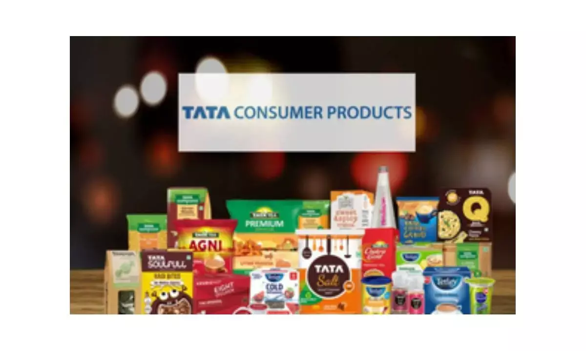 Tata Consumer Q3 profit falls 5 pc to Rs 299.75 crore, revenue rises 16.8 pc