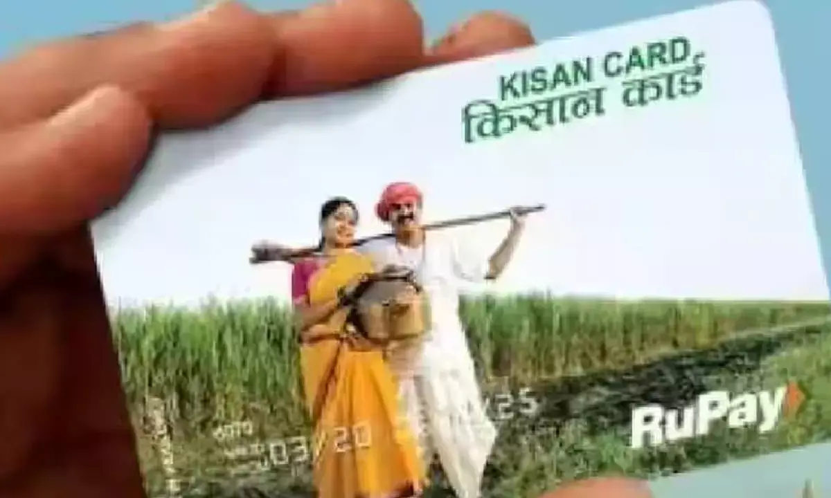 Number of Kisan Credit Cards rises to 7.5 crore, loans jump to Rs 9.81 lakh crore