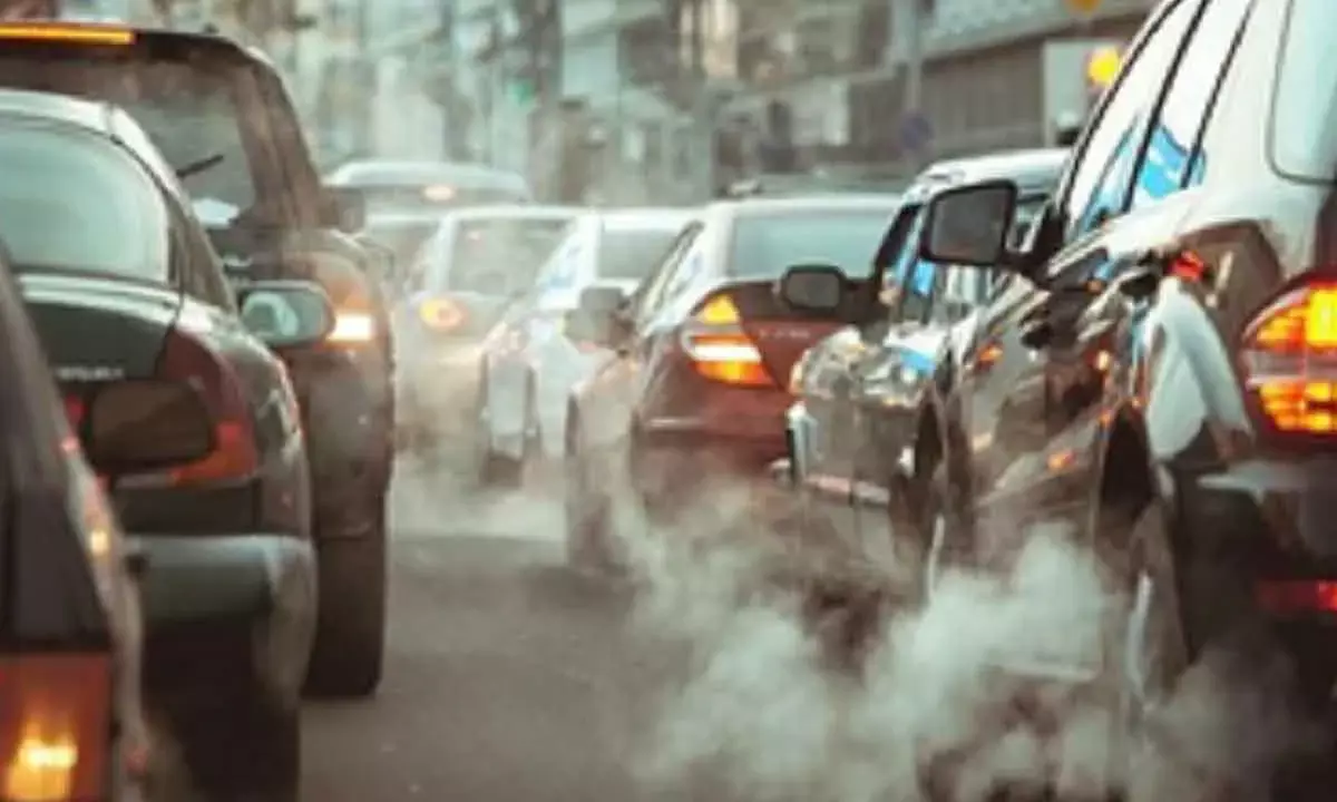 Low-Level Traffic Air Pollution Can Damage Liver