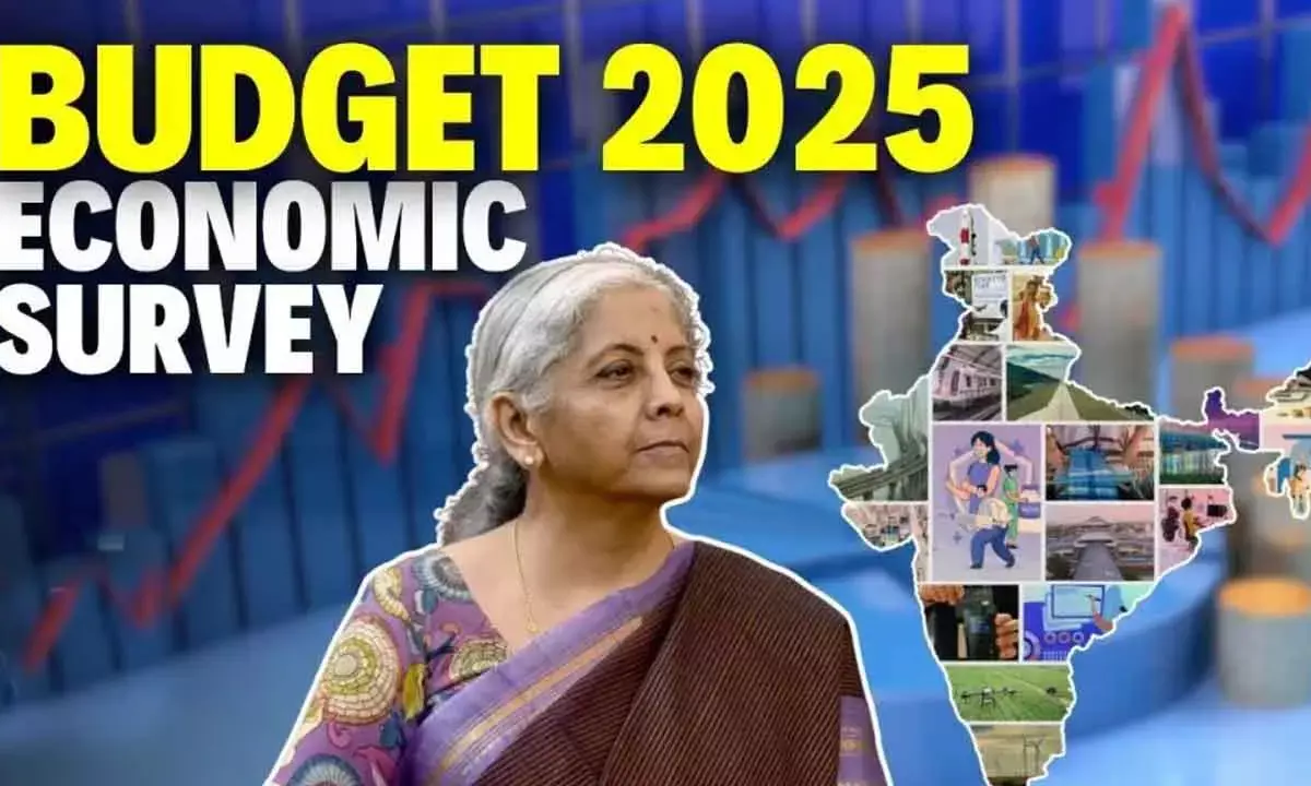 Economic Survey Makes Realistic Projections, Sensible Recommendations