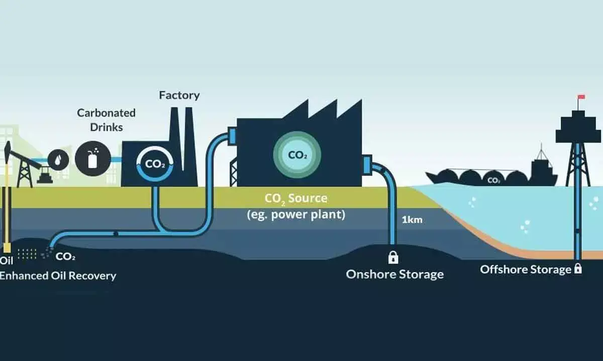 Ramky Group with IIT-B, Others Launches Carbon Storage Near Vizag