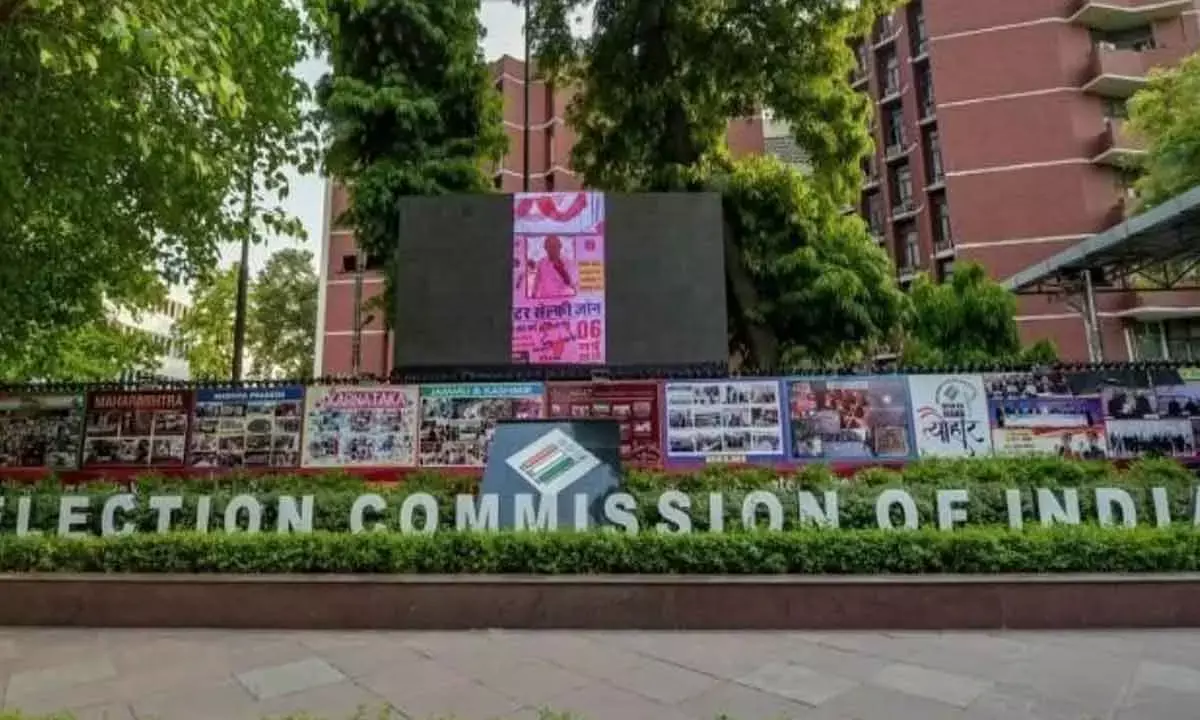 Delhi Polls: 900 Code Violation Cases Registered