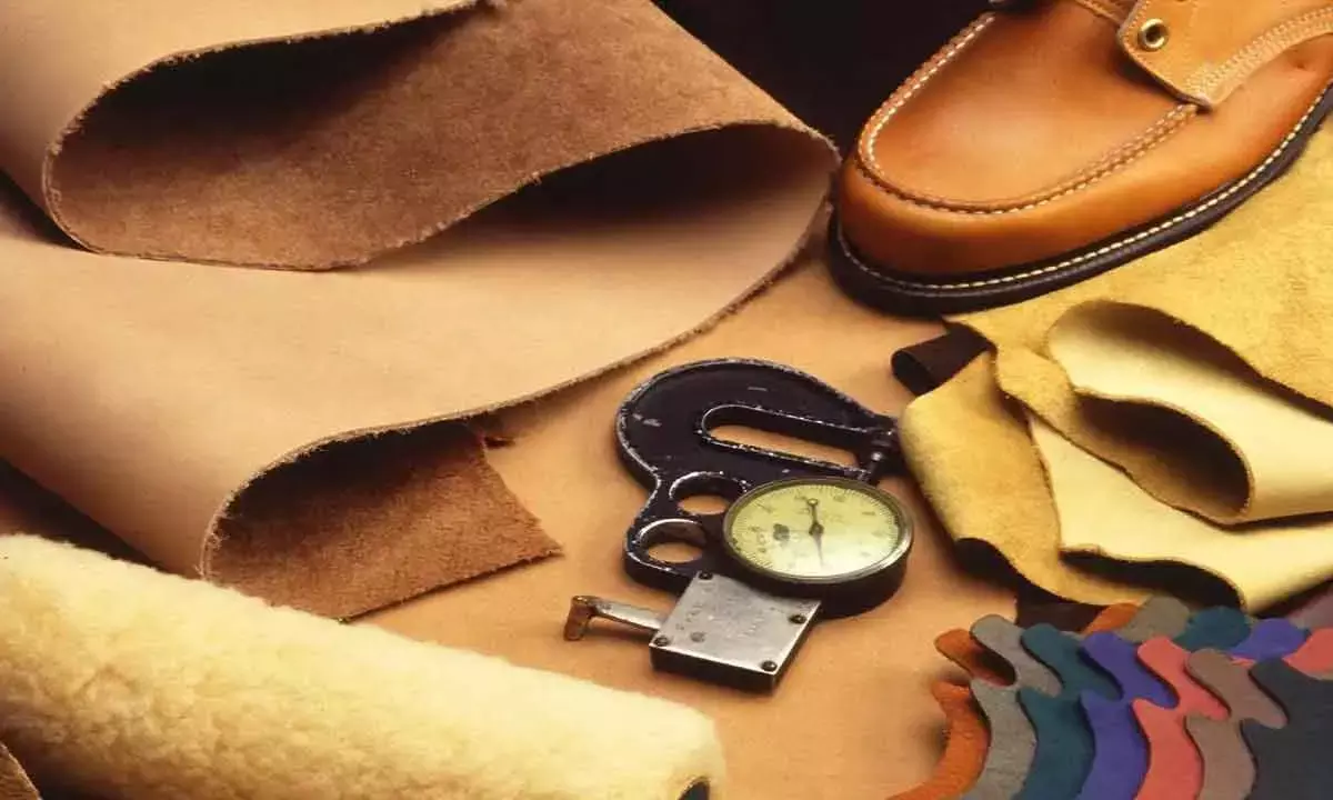 Footwear, Leather Sectors Get Boost