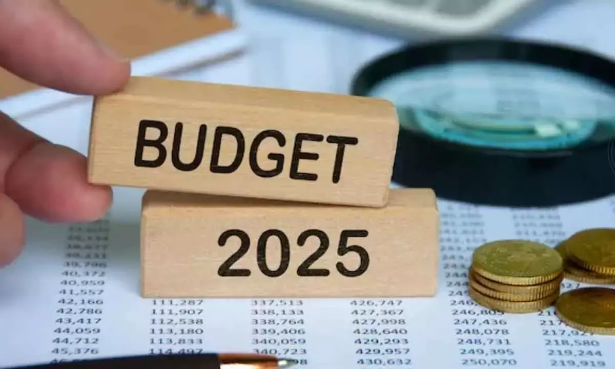 Budget On Expected Lines: Gulf NRIs