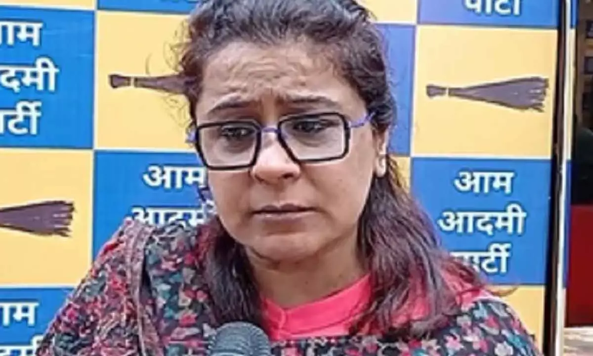 Voter Will Save Rs 35k Per Month By Choosing AAP