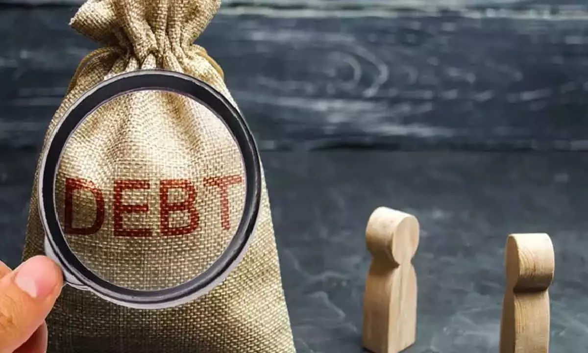 Debt Reduction Pace Still Lagging: Fitch