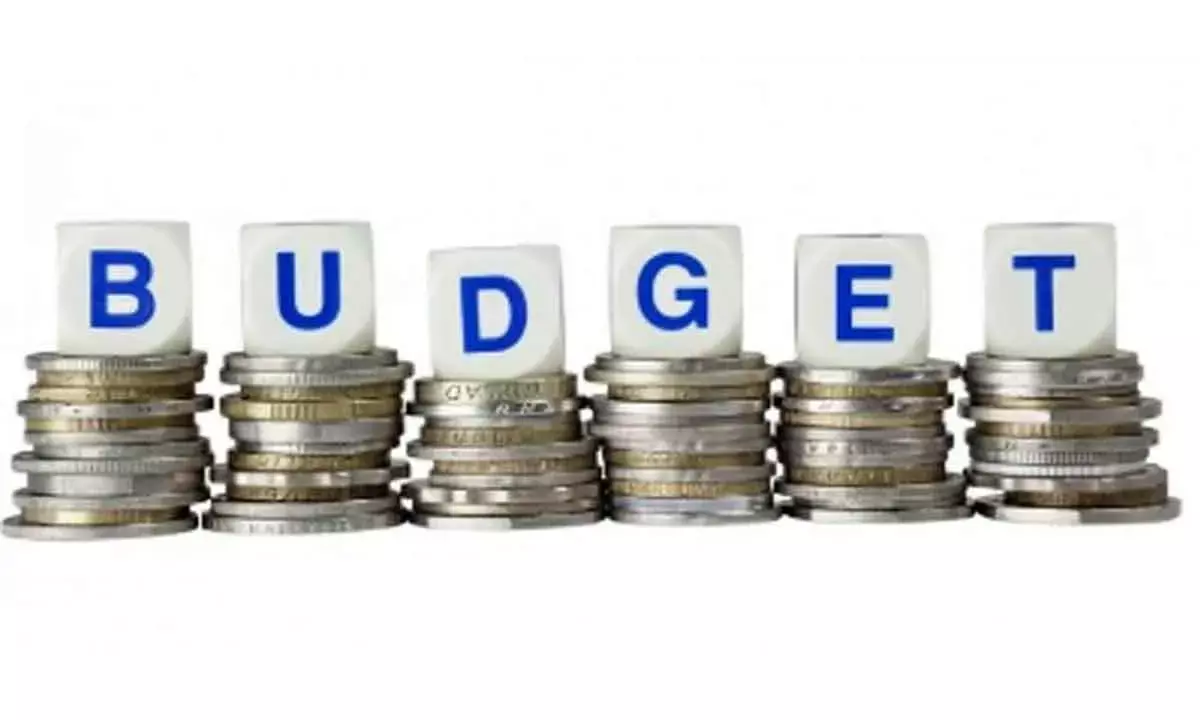 Budget Boosts Consumption, Fiscal Prudence, Capex: Report