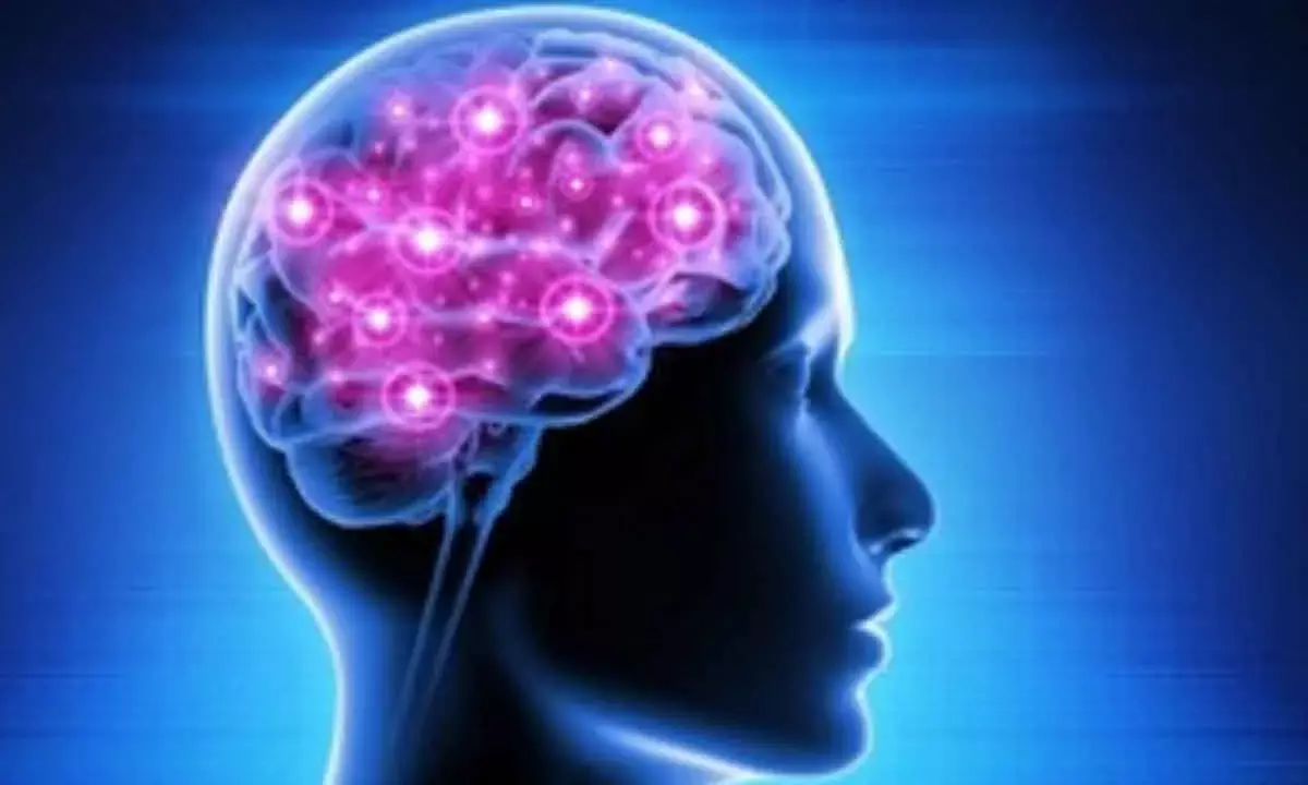 Parkinson’s Disease Mkt To Grow To $7.9 Bn By 2033