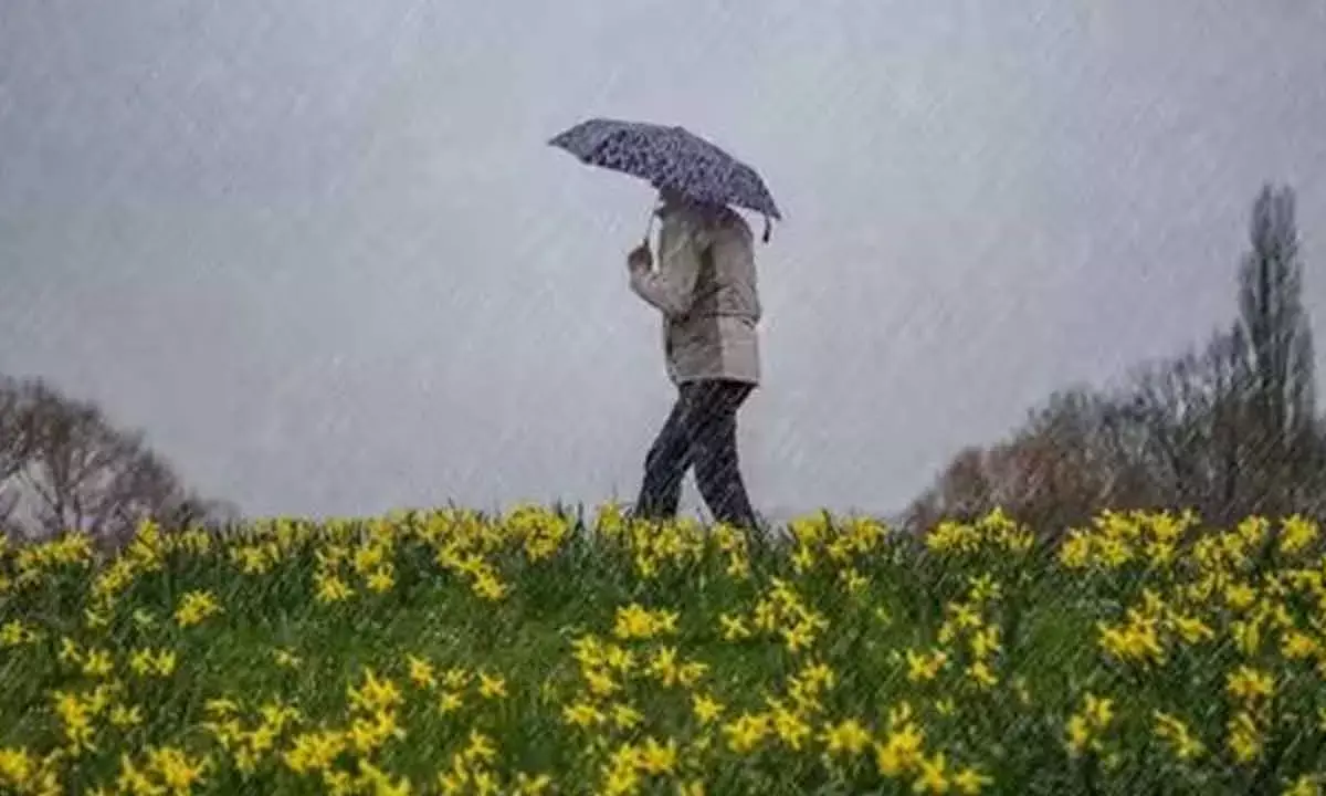 Can Your Aching Joints Really Predict The Weather?