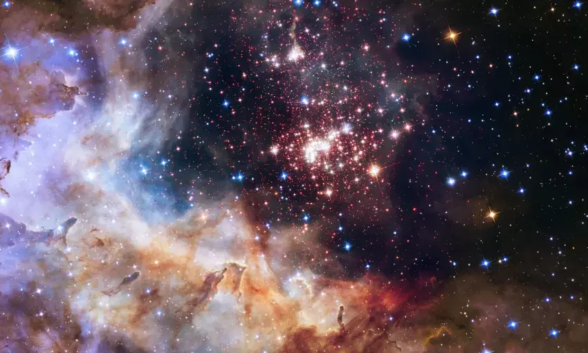Top 7 animal-shaped Nebulas captured by NASA that will mesmerize you!