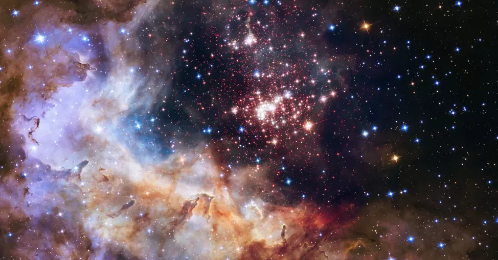 Top 7 animal-shaped Nebulas captured by NASA that will mesmerize you! Top 7 animal-shaped Nebulas captured by NASA that will mesmerize you!
