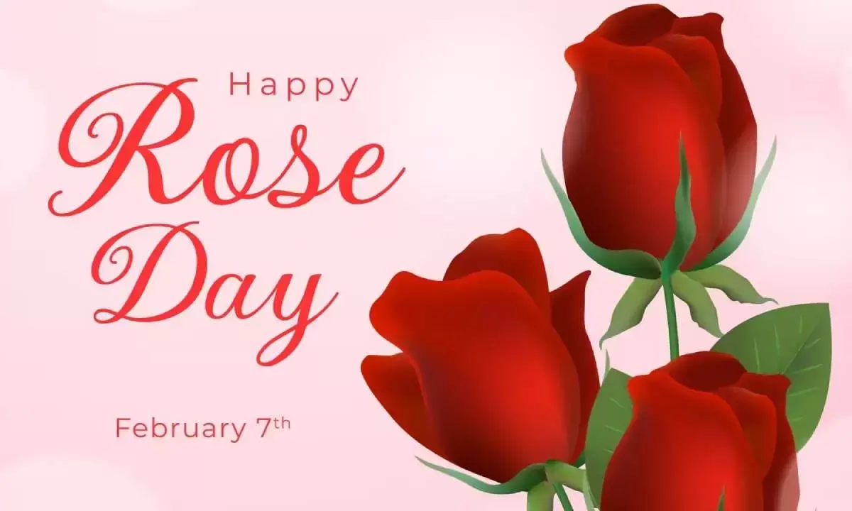 Happy Rose Day 2025: Over 50 Wishes, Messages, and Greetings to Share