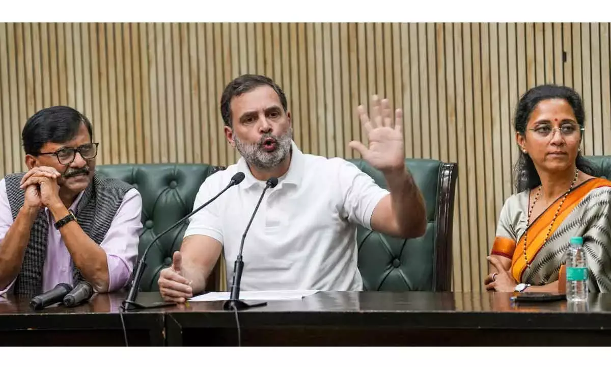 Rahul Alleges Irregularities In Maha Voter Registration