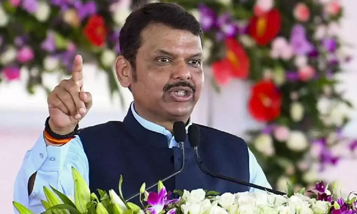 Rahul Needs To Introspect: Fadnavis