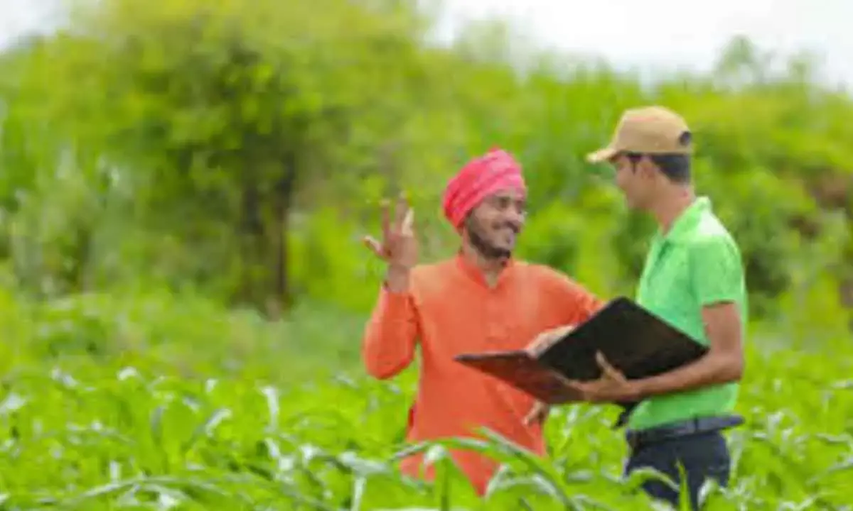 Agri Sector Growth Stronger, Steadier Than UPA’s Volatile Yrs