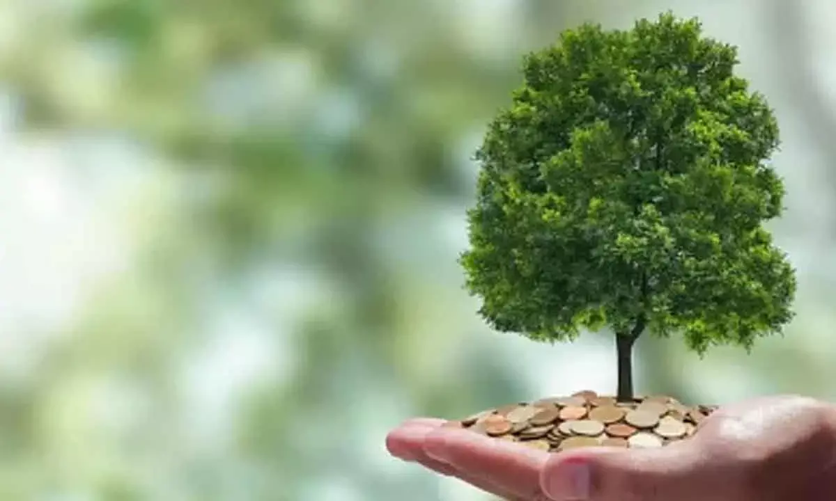 Taxonomy For Climate Finance, Ready In 6 Mths