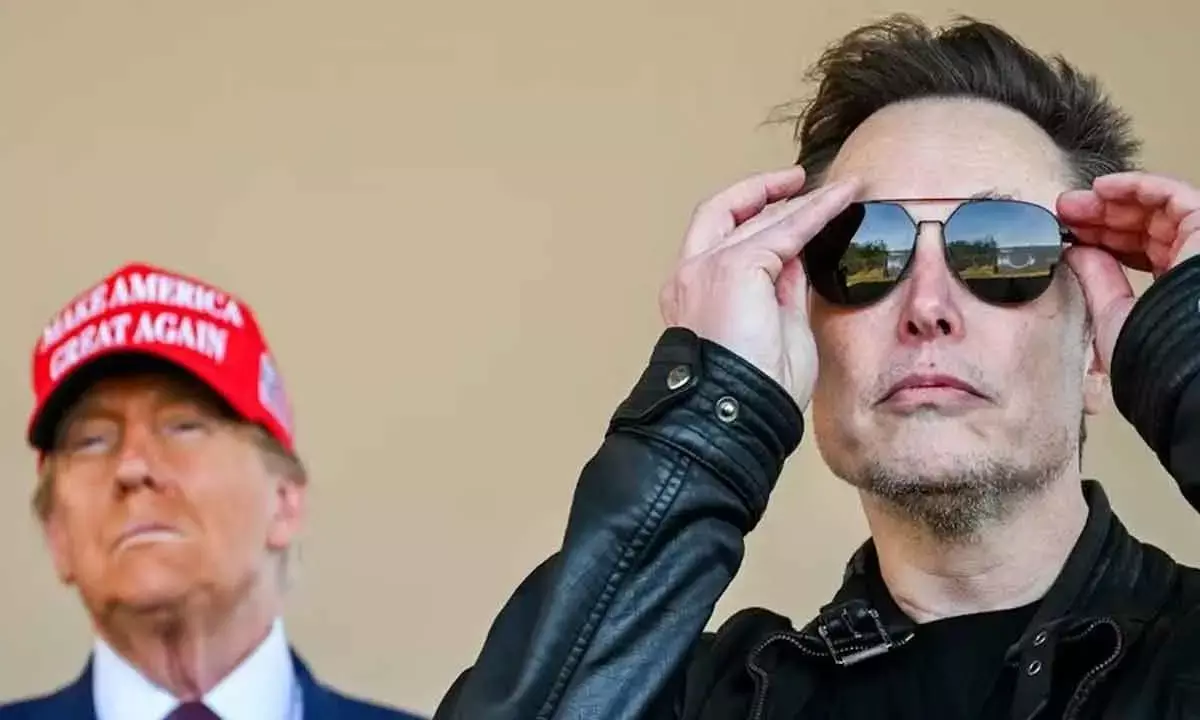 Is Musk’s ‘Efficiency’ Just A Cover For Corporate Gain?