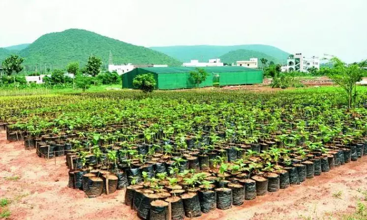 Kadiyam nursery farmers plant 1,000 saplings in honour of KCR’s birthday